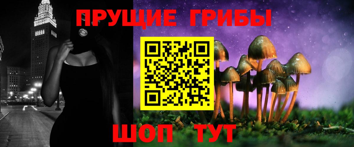 Псилоцибиновые грибы прущие грибы  Вход с VPN  Железноводск 